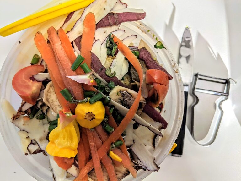 Practical Ways to Reduce Food Waste at Home and Save Money